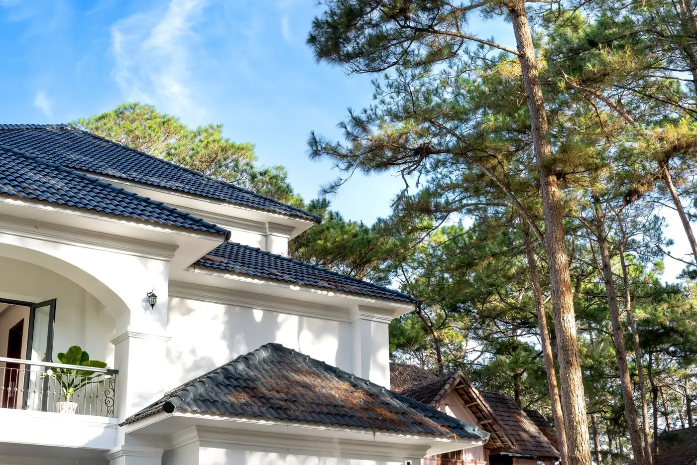 White two-story house with a dark shingle roof under tall pine trees on a sunny day
