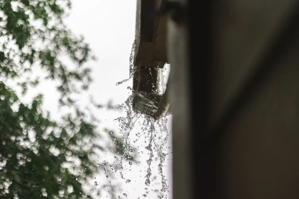 Rainwater spilling over the edge of a gutter during a heavy shower, with green tree branches blurred behind
