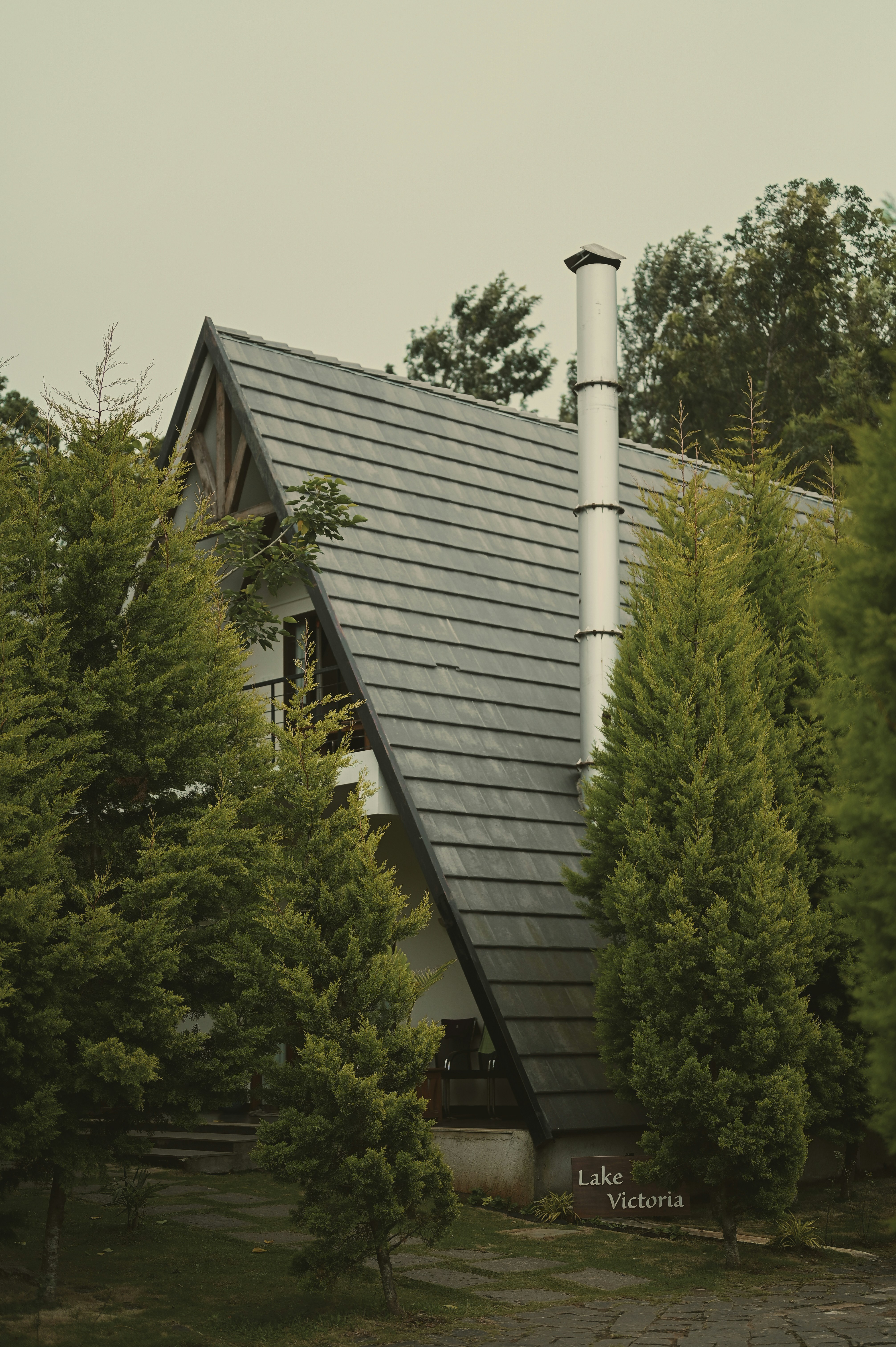 Metal Roof vs Shingles: Complete 2025 Cost & Comparison Guide - Related roofing article from Weather Shield Roofing experts